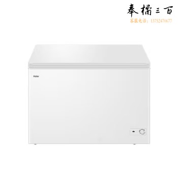 海尔 BC/BD-303HD 303升低霜节能商用家用冰柜 冷藏柜冷柜