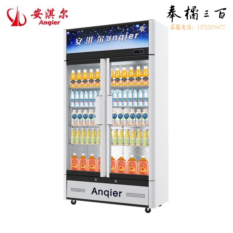 安淇尔 （Anqier） 饮料柜 冷藏展示柜商用立式冰柜冷柜便利店超市冰箱啤酒冷饮柜士多店保鲜柜 LC-680MM直冷冷藏双冂【铜管】 饮料柜 超低温冰箱-