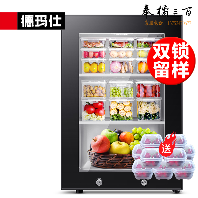 德玛仕（DEMASHI）食品留样柜 学校幼儿园公司食堂用水果蔬菜留样冰箱保鲜冷藏展示柜LG-60YL【双锁设计】