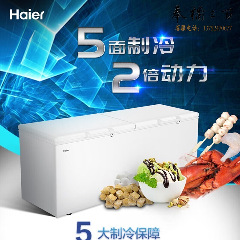 海尔 海尔（Haier）BC/BD-829HEZ 冰柜商用大容量829升 冷速冻保鲜柜 浴室柜