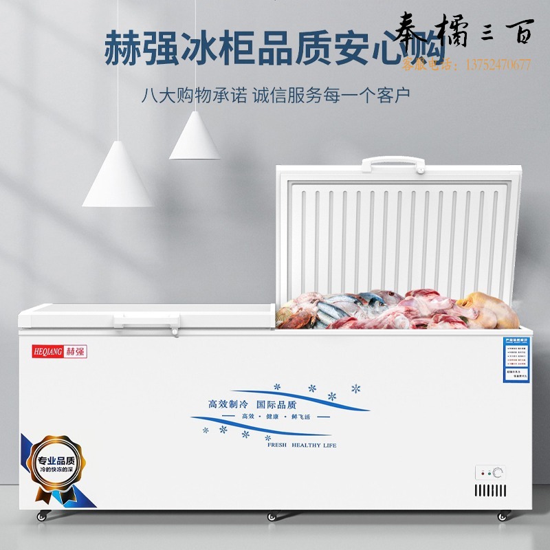 齐冰冷链/QB 雪花  110Q 大容量商用大冰柜卧式家用节能冷柜冷冻柜冷藏柜保鲜速冻柜 冰柜低温冰箱/柜