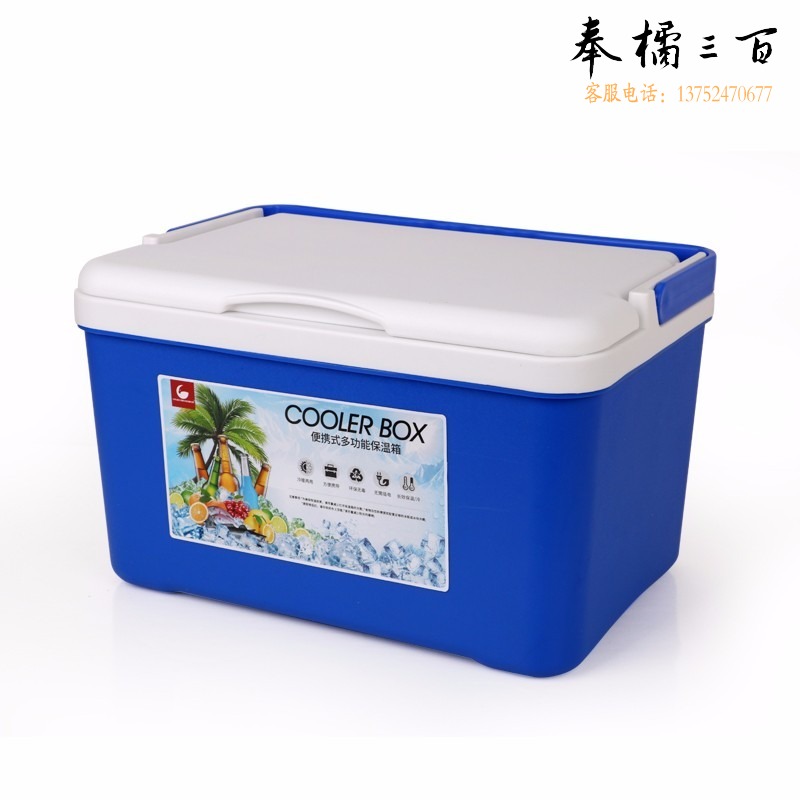 保温箱冷藏箱户外野餐露营便携式大容量保鲜箱钓鱼20L商用家用医药PU 12L（EPS材质） 取暖用品 便携/折叠餐具