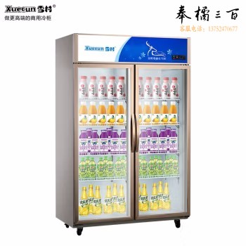 雪村 LC-1200 冷藏展示柜1.2米双开门展示柜冷藏保鲜展示柜