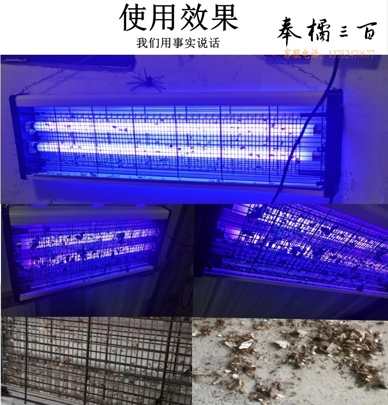 灭蚊效果图