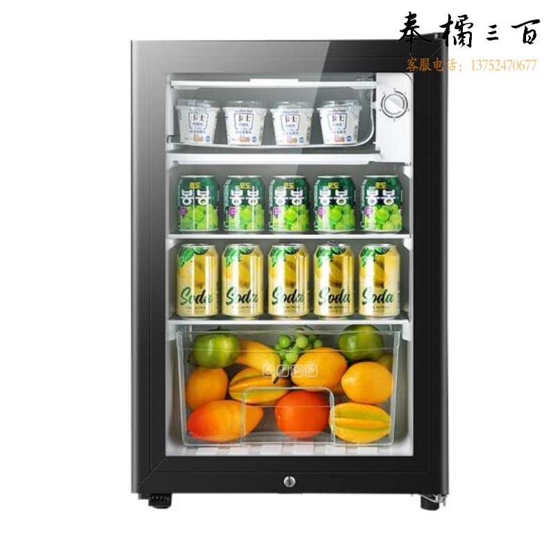 先科 BC-90L 先科/SAST 先科 BC-90L 立式冰柜 留样专用电冰箱 全冷藏保鲜+LED灯+带锁