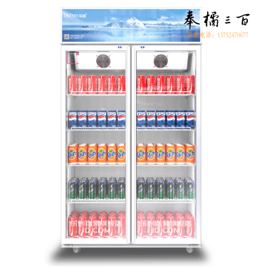 乐创 LC-ZSG02 双开门展示柜冷藏柜保鲜饮料柜超市便利店冰箱立式冷柜（单位：件）