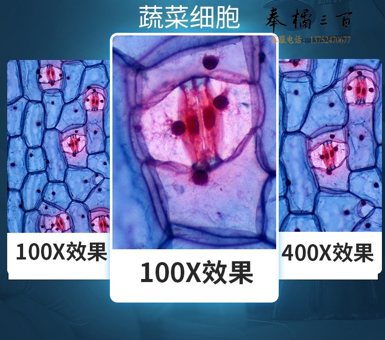 详情_14.jpg