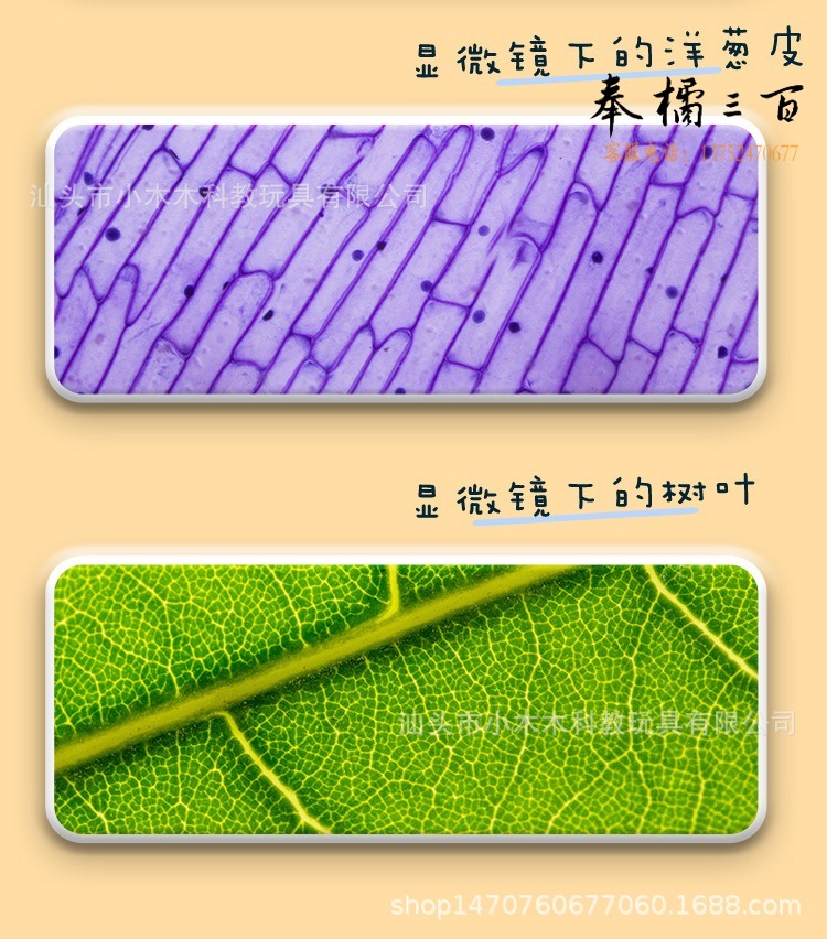 详情_12.jpg