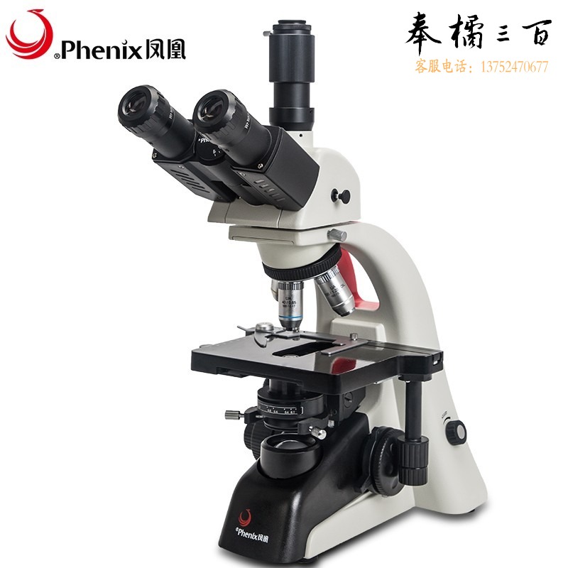 凤凰 PH100-3A41L-EP/195 专业生物普通显微镜