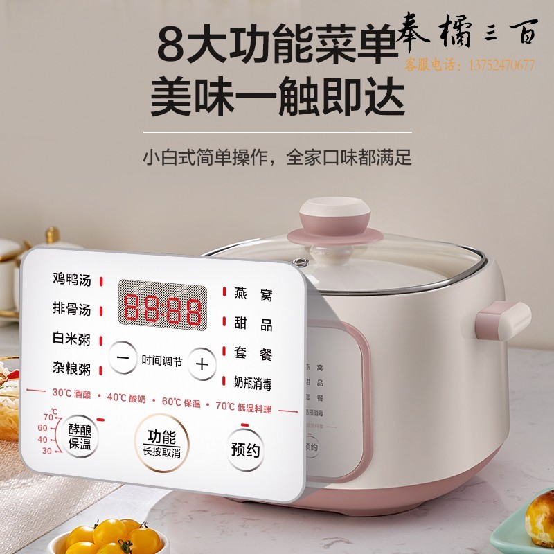 美的（Midea）电炖锅 电炖盅 煲汤锅 炖汤锅 婴儿辅食锅 隔水炖 养生锅 一锅五胆 白瓷内胆2.5L DZC2551