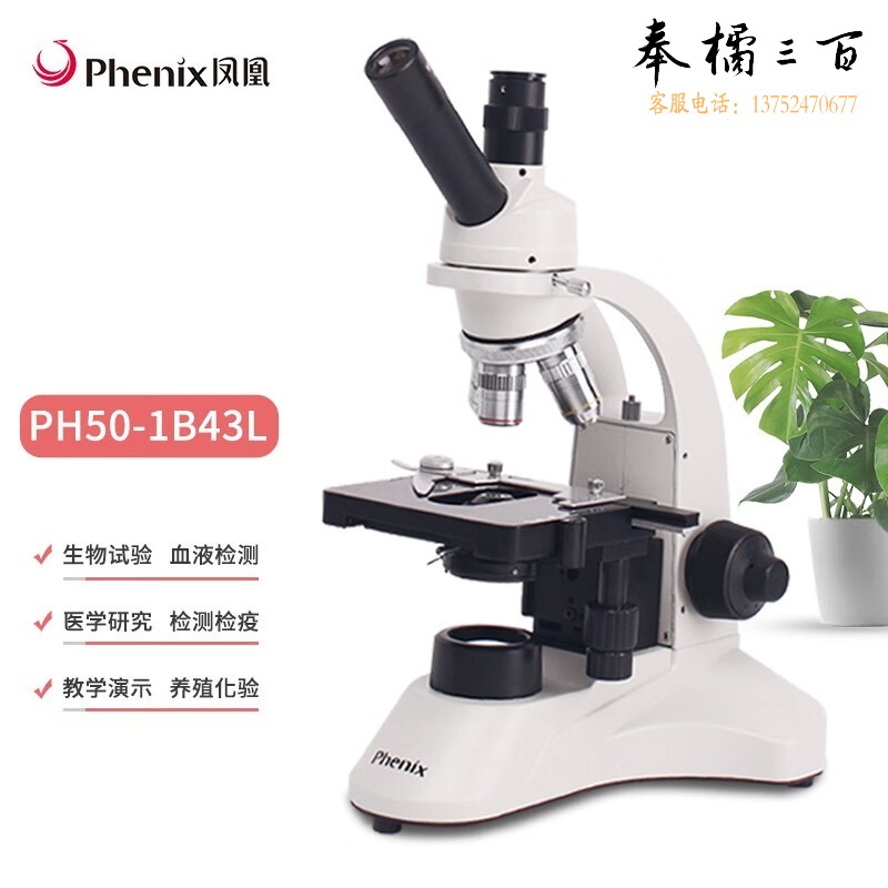 凤凰 PH50-1B43L 单目TV专业生物显微镜