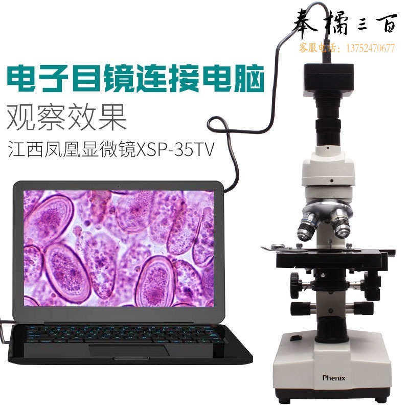 凤凰 XSP-35TV 1600倍生物实验显微镜