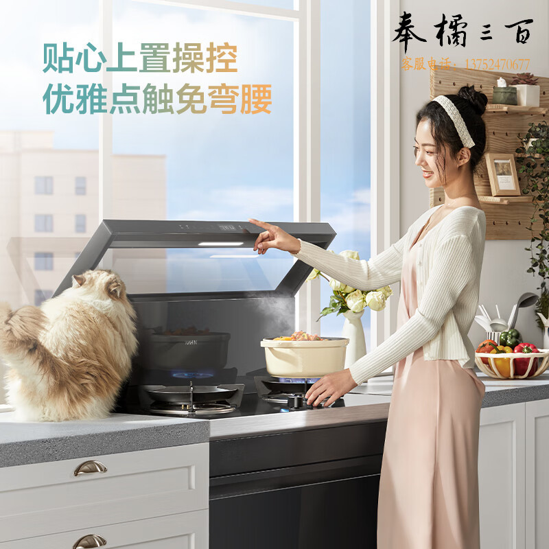 美的（Midea）出品 变频21风量千帕风压 5.2KW火力集成灶 13套超一级水效集成洗碗机 WD26S+XH03P套装 天然气