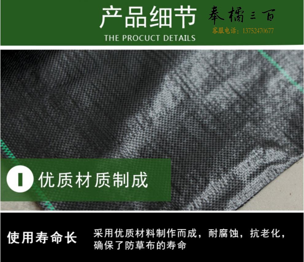 cb46b44c912e256e.jpg