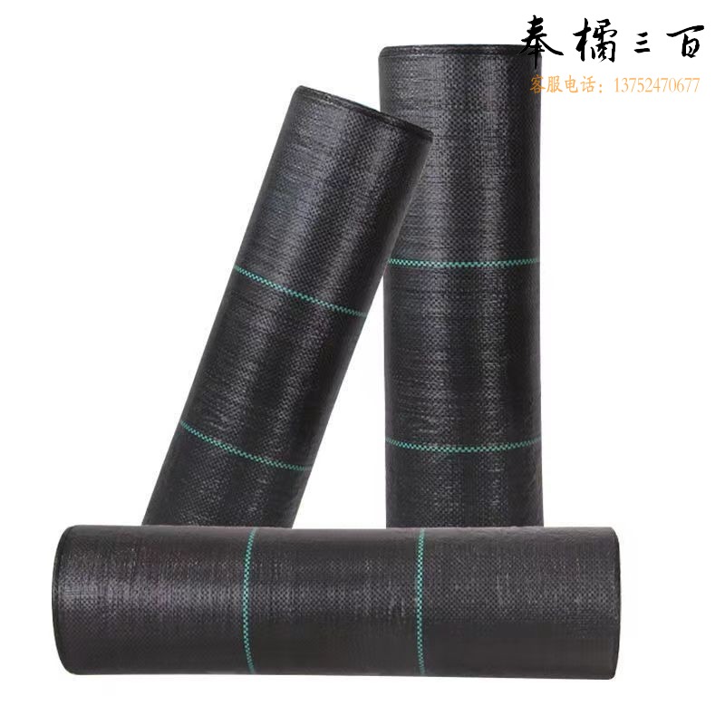 乐子君 4米宽100米长/卷 除草布 农林牧渔专用仪器