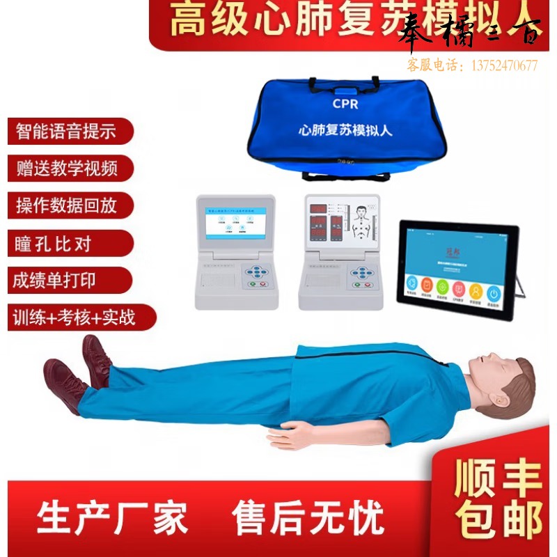 盛和爱众  教学用  人体教学半身模型 仪器 仪器