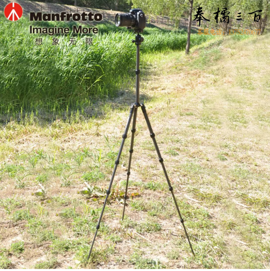 曼富图（Manfrotto）MKELEB5CF-BH 反折式三脚架 可拆独脚架  碳纤维大号三脚架套装