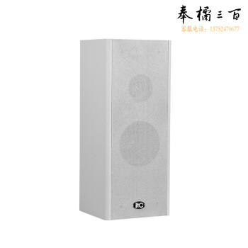 itc 公共广播会议音视频产品T-301音柱