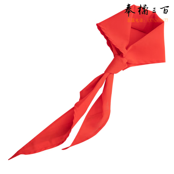 得力(deli) 1米涤纶红领巾 小学生少先队员红领巾 单条装 50550