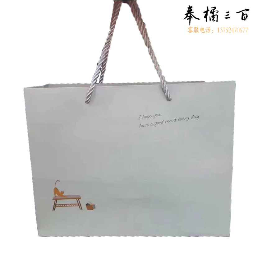 礼品袋 手提纸袋 24.5*19*9.5 单位：个  货号：GD