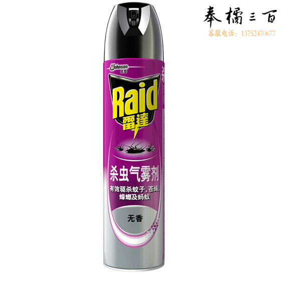 雷达(RAID) 600ml 无香喷雾杀虫剂 24瓶/箱