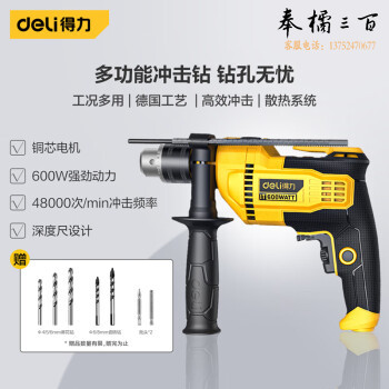 得力（deli）600W冲击电钻家用轻型手电钻电动螺丝刀交流电钻 DL-CZ13-W1