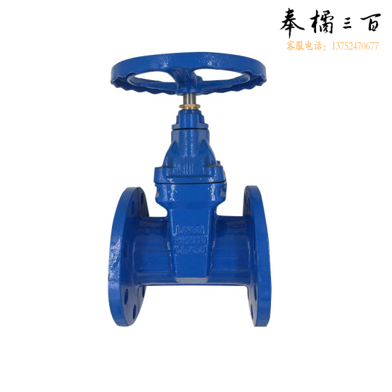 闸阀 DN100 货号：JC