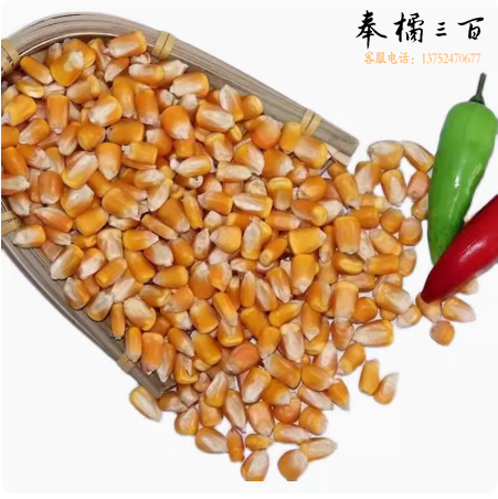 玉米饲料  40斤/袋  货号：TXH