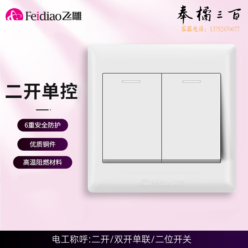 飞雕 二位开关 86型墙壁面开关E5-A 白色 双开单控 二开墙壁开关