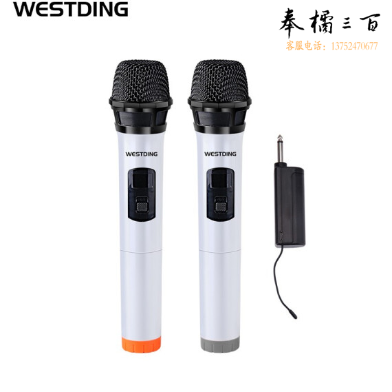 威斯汀  家用卡拉OK无线话筒一拖二专业U段防啸叫麦克风 K10