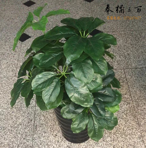 高仿真绿植70Cm  带加厚盆30Cm  带绿草坪  货号：NK