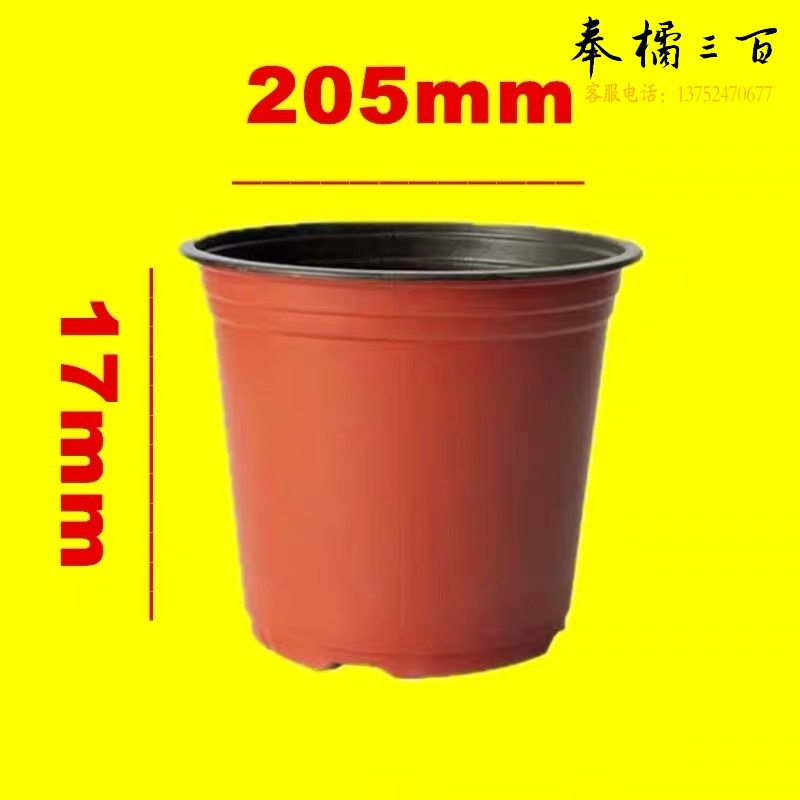 双层一次性塑料花盆 205*170mm  100个/包