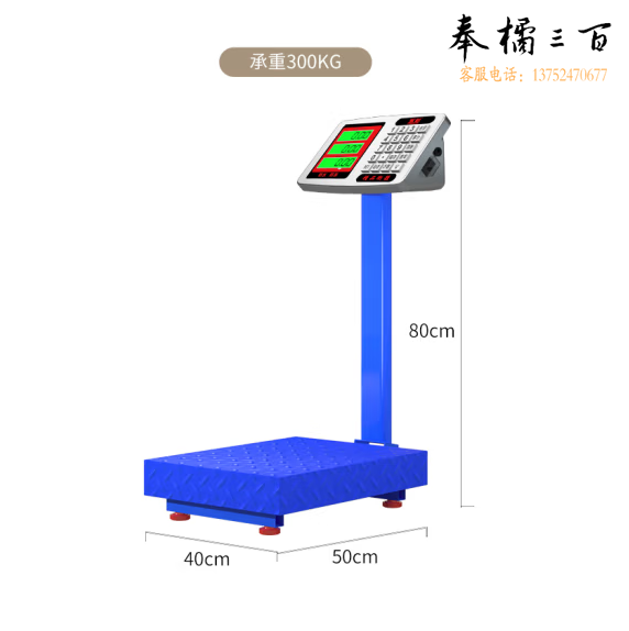 暴龙   落地电子秤  300KG  台面 400*500mm 分度值100克 货号：LJ