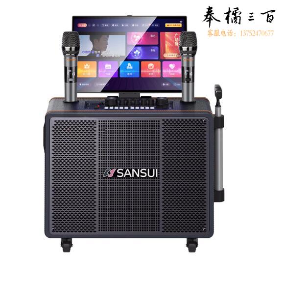 山水（SANSUI） PE105便携户外广场舞拉杆音响  17吋屏+PE105三分频+500G  货号：LJ