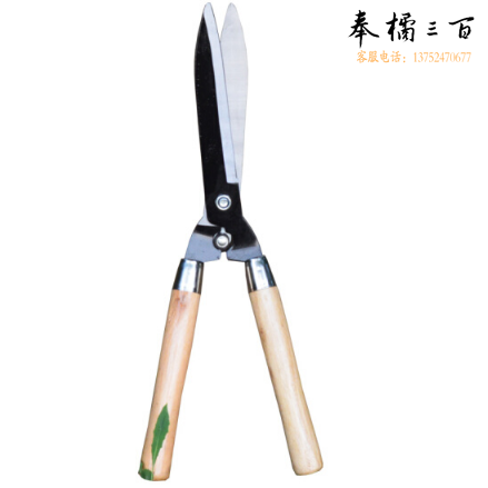 整理剪规格21”园林花木修剪绿篱剪大剪刀 园艺剪 草坪修枝剪工具 篱笆剪树枝    单个