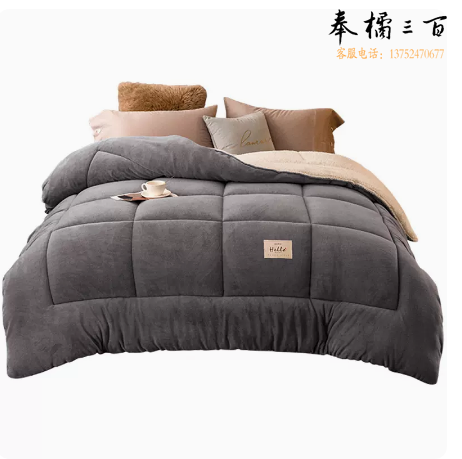 南极人  羊羔绒被子冬被棉被加厚保暖被芯  150x200cm 加厚  货号：JC