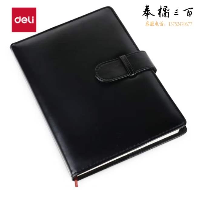 得力(deli) 25K120张商务经典皮面本搭扣软面贴芯会议记事本日记本7946