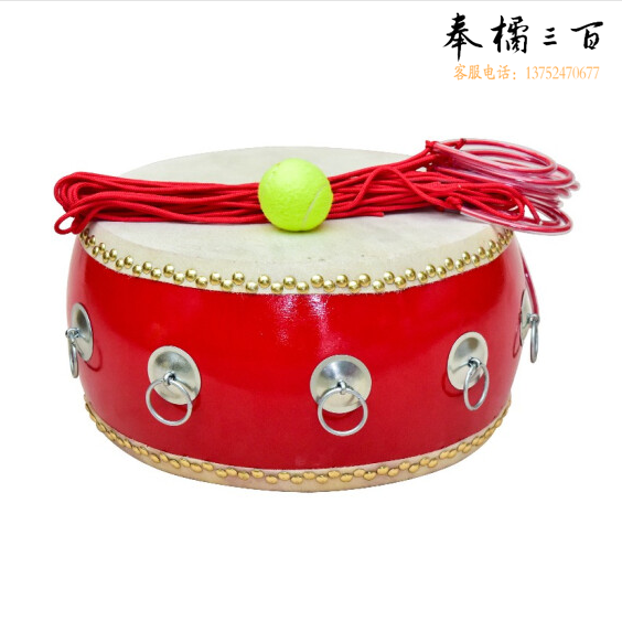10寸同心鼓12环+网球+皮球+气筒+拉绳+口哨