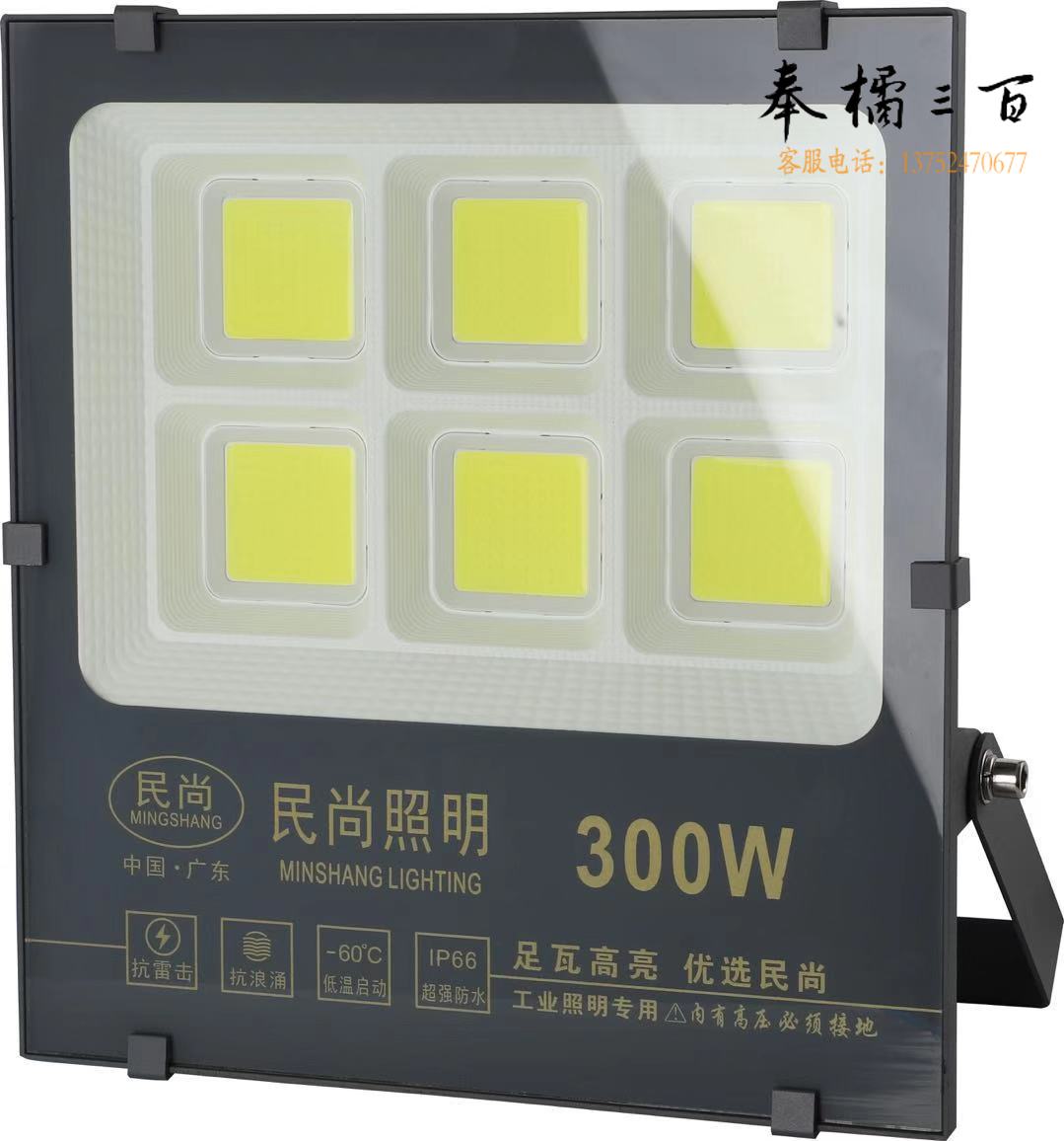 民尚 LED投光灯300W COB户外防雨亮化照明（不含安装）