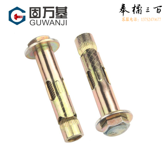 内胀管 铁胀管  膨胀螺栓  10*100   货号：LJ