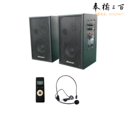 电教2.4G无线有源音箱 V600-253i   （含安装）