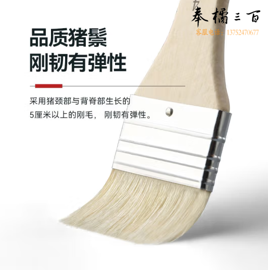 6＃猪鬃板刷 偏硬头猪鬃板刷美术手绘墙绘猪鬃短柄油画板刷 货号：JC