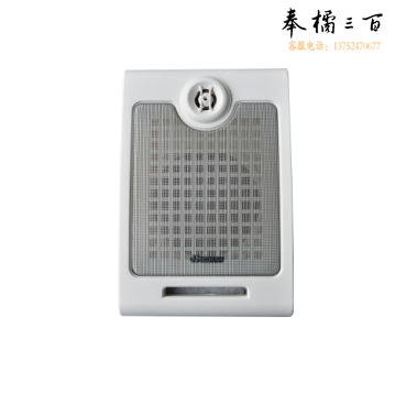 湖山 BGS-5W  壁挂扬声器