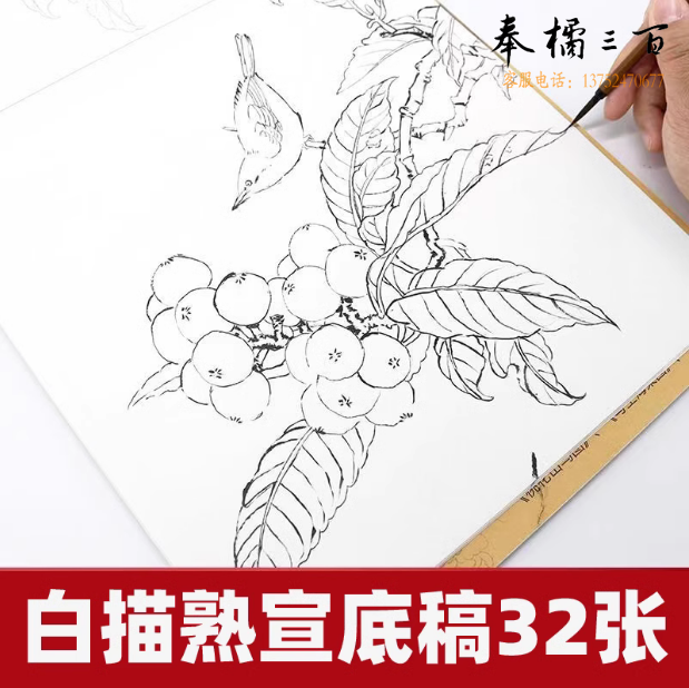 工笔画底稿白描花鸟 综合款底稿32张   货号：JC