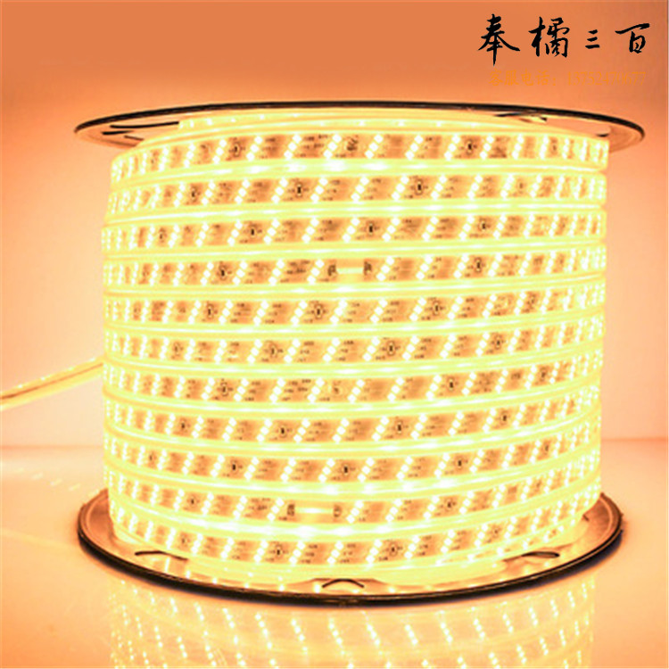 凝聚力 2835-120D LED无导线灯带暖光单直排100米