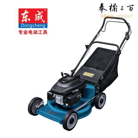 东成 园林工具汽油草坪机FF-SSS48