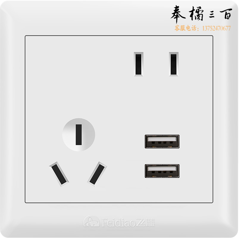 飞雕 斜五孔带二位USB开关插座86暗装墙面开关插座E5-A墙壁开关