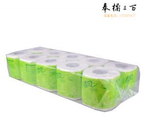 清风 卷筒纸 B202A 10卷*10提