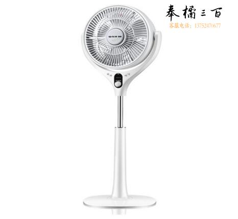 先锋（Singfun）蒲扇遥控静音落地扇FTS30-17DR