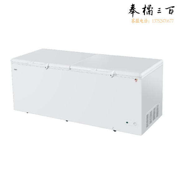 海尔 冰柜冷藏冷冻大容量单温冷柜HBC/BD-830HCZ